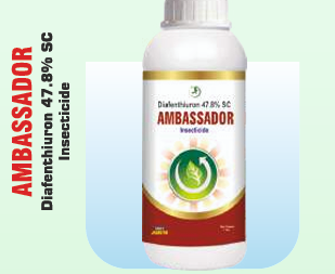 AMBASSDOR