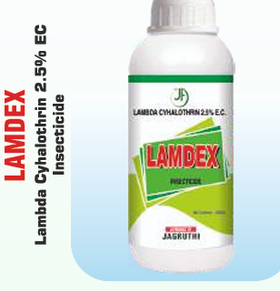 LAMDEX