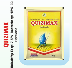 QUIZIMAX