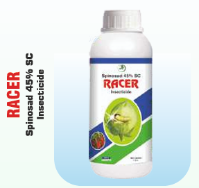 RACER