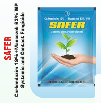 SAFER